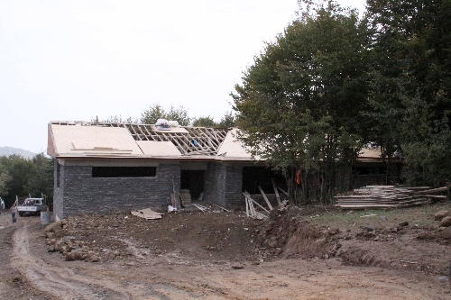 HAYTAP Temsilcisi Turan: Sahipsiz hayvanlar sokakta yaşamaya devam edecek