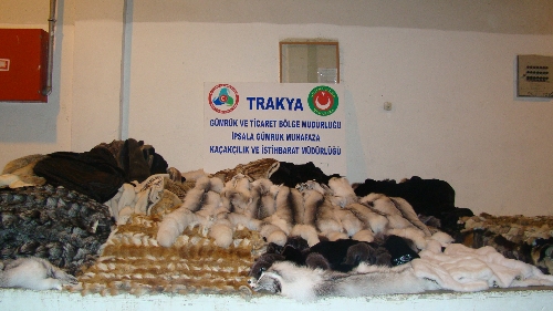 İpsala'da 2 milyon 500 bin TL değerinde kürk ve oto yedek parçası ele geçirildi