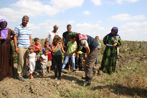 Jandarma tarlada 'okul çocuğu' arıyor