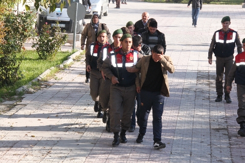 Jandarma'dan güvercin hırsızlarına operasyon