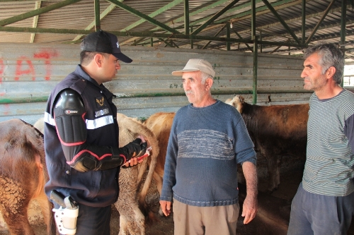 Jandarmadan kurban satıcılarına dolandırıcılık uyarısı