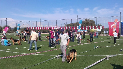 K-9'lar Çekmeköy'de yarıştı