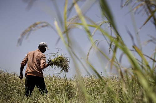 Kalkınmanın fotoğrafları Adana'da