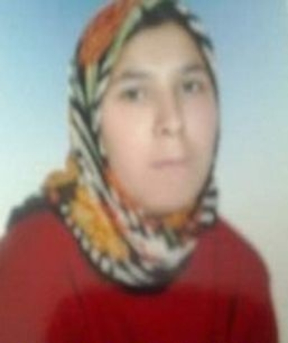 Karabük'te Aygül Dayı isimli bayandan on iki gündür haber alınmıyor