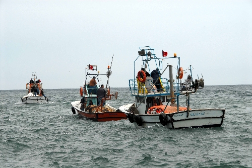Karadeniz florası fakirleşiyor, avlanan 23 ticari balık türünden 5'i kaldı