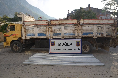 Karayolu fareleri ormanlık alanda yakalandı