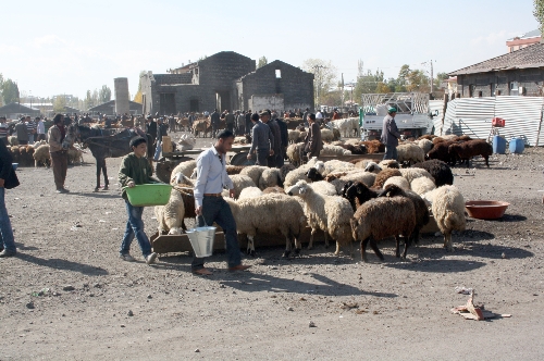 Kars'tan Batı'ya kurban sevkinde son kamyonlar yola çıktı