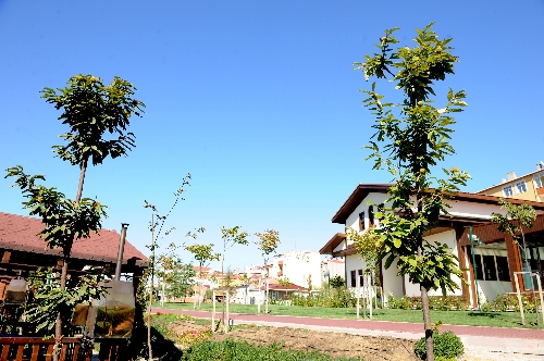 Kestane Bahçesi ilk meyvelerini verdi