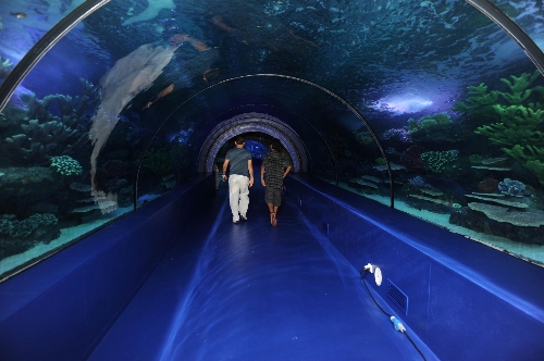 Kılıçdaroğlu, yarın Antalya'da Dev Akvaryum'un açılışını yapacak