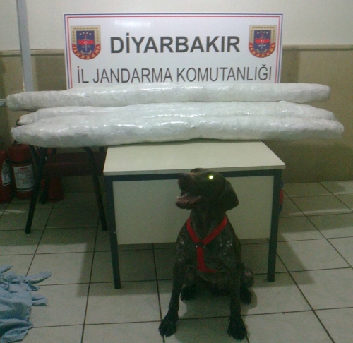 Kiraladıkları kargo kamyonu ile uyuşturucu kaçıracaklardı