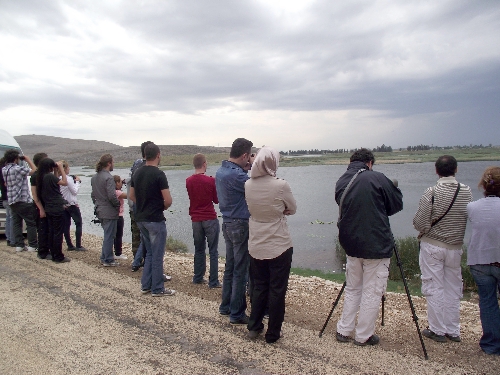 Kırıkhan'daki Gölbaşı Gölü'nde 51 kuş türü tespit edildi