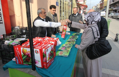 Kocaeli'nde lale satışları başladı