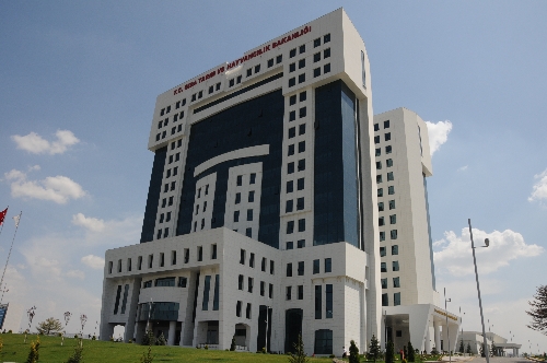 Koyun ve keçiler elektronik kimlikle takip edilecek