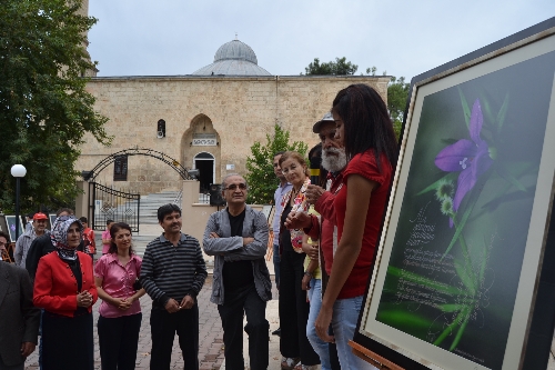 'Kozan Kalesi Çiçekleri ve Karacaoğlan' fotoğraf sergisi açıldı