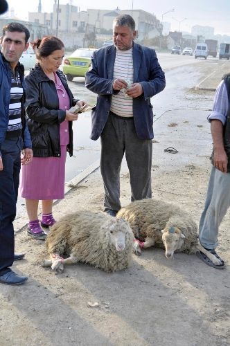 Kurban Bayramı Azerbaycan'da coşkuyla kutlanıyor