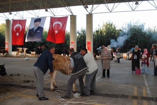 Kurban kesim ücreti ikinci gün yüzde 50 daha ucuz