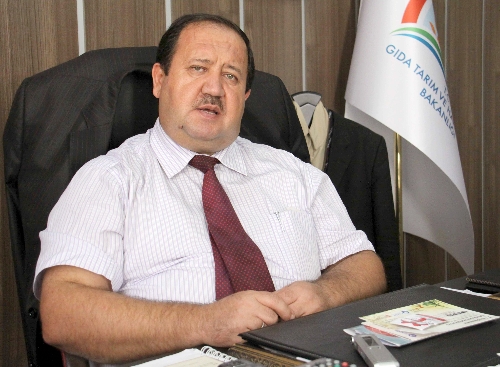Kurbanda yerli damızlık sıkıntısı yok, fiyatlar geçen sene ile aynı