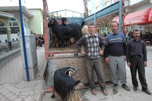 Kurbanlıklar için son pazarlıklar yapıldı