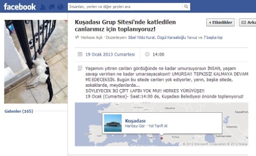 Kuşadası'ndaki kedi zehirlenmeleri protesto edilecek