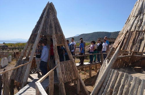 Lisinia, kansere karşı savaş başlattı