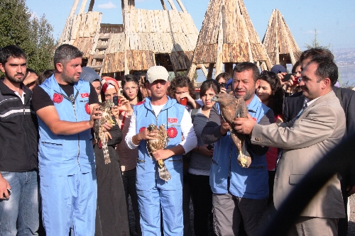 LİSİNİA'da, kuşlar dünya barışı için doğaya bırakıldı