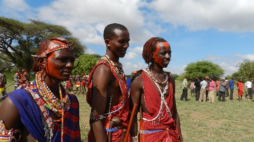 Maasai kabilesi gençleri, bu sefer aslan avlayamadan savaşçı oldu