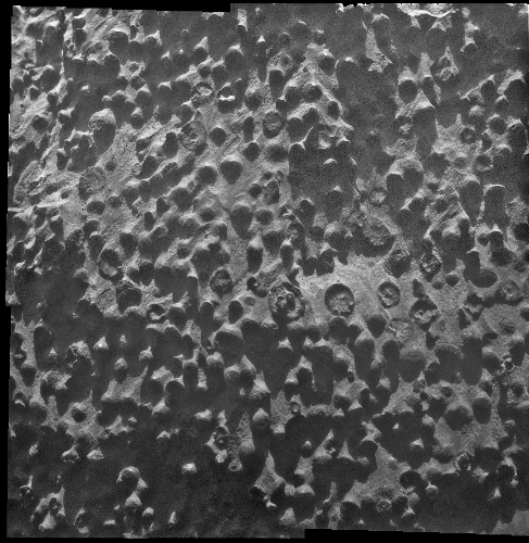 Mars'ta esrarengiz küreler keşfedildi