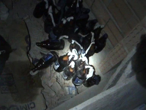 Mersin'de terör örgütünün molotof cephaneliği ele geçirildi