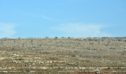 Midyat'ta 6 terörist etkisiz hale getirildi
