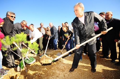 Moloz sahası yeni kent ormanı oluyor