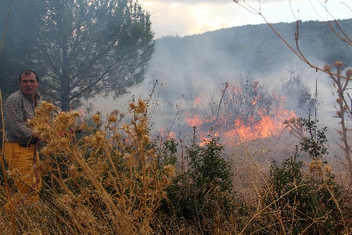 Muğla'da 10 dönüm çalılık yandı