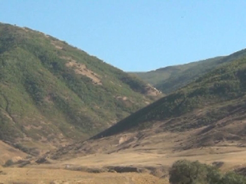 Muş'ta çatışma: 1 şehit, 2 yaralı
