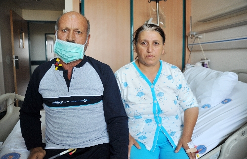 Nakledilen böbrek suni damara bağlandı