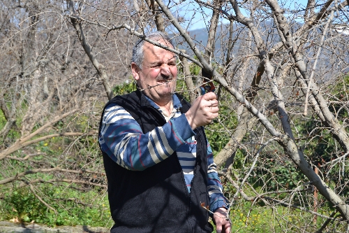 Nar depoda çürüdü, bilinçsiz üretici eğitime alınıyor