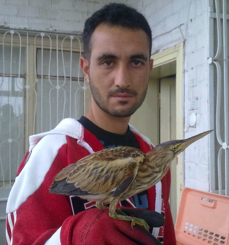 Nevşehirli çiftçi, dünyada nadir bulunan kuşu kapı önünde buldu