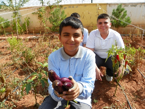 Öğrenciler, uygulama bahçesinde ürünlerini topladı