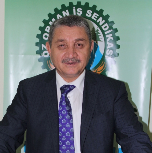 Ormanlar uydudan takip edilecek