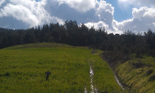 Patlamayan 2 havan mermisi toprağa saplı bulundu