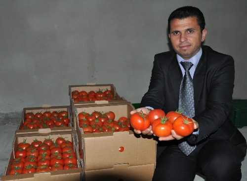 Plansız üretim ve kötü hava şartları, sebzeyi çöpe götürdü