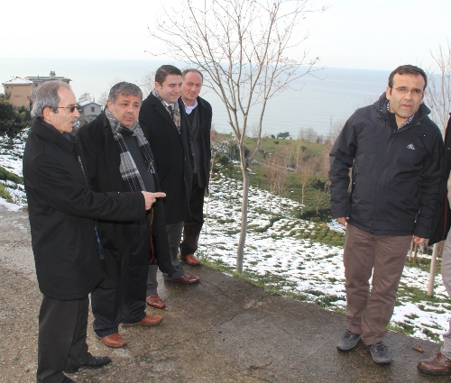 Rize'deki 30 dönümlük bir alanda kaymalar meydana geldi