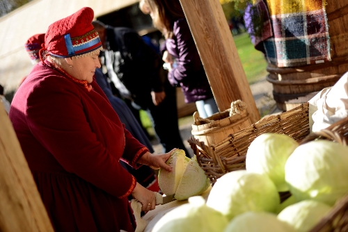 Rusya'da lahana festivaline büyük ilgi