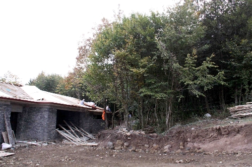 Sahipsiz sokak hayvanları, doğal yaşam alanlarını sevdi