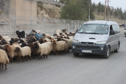 Şırnak'ta göçlerin inişleri devam ediyor