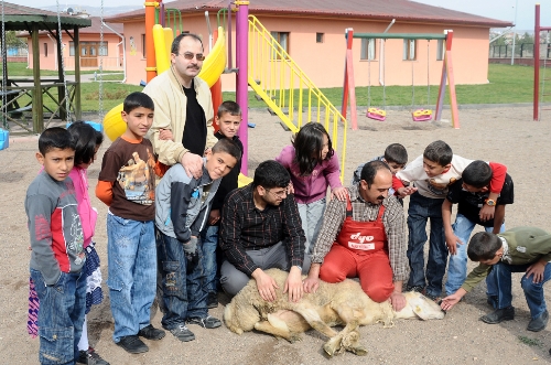 Sivas Sevgi Evleri'nde kurban heyecanı yaşandı