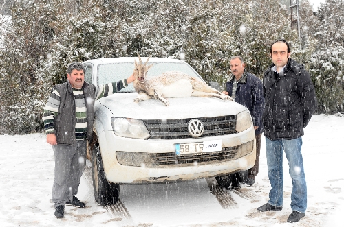 Sivas'ta kaçak avcılara 40 bin TL ceza