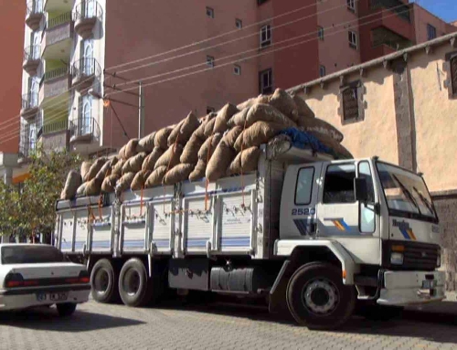 Siverek'te 9,5 ton pamuk yüklü kamyonu çalan hırsızlar yakalandı