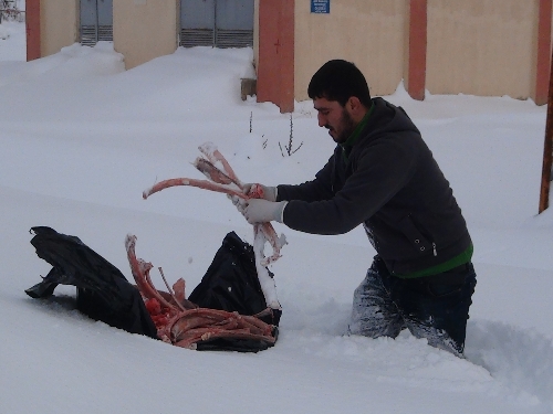 Sokak ve yaban hayvanları için doğaya yiyecek bırakıldı