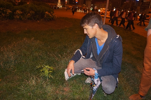 Taksim'de 'şüpheli ot' alarmı