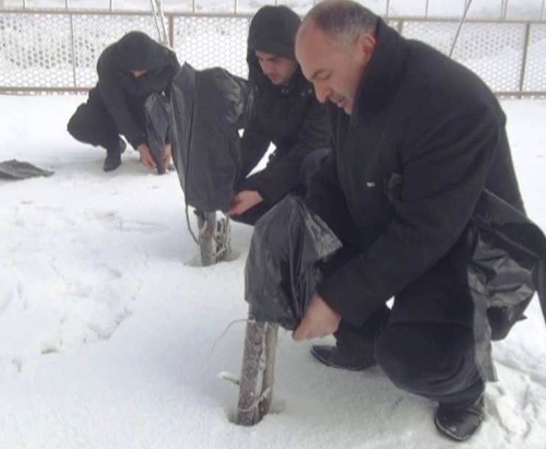 Tatvan'da soğuktan korumak için fidanlar torbaya sokuluyor