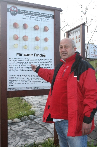 Türkiye'nin ilk fındık müzesi, kütüphanesi ve örnek bahçesi oluşturuluyor